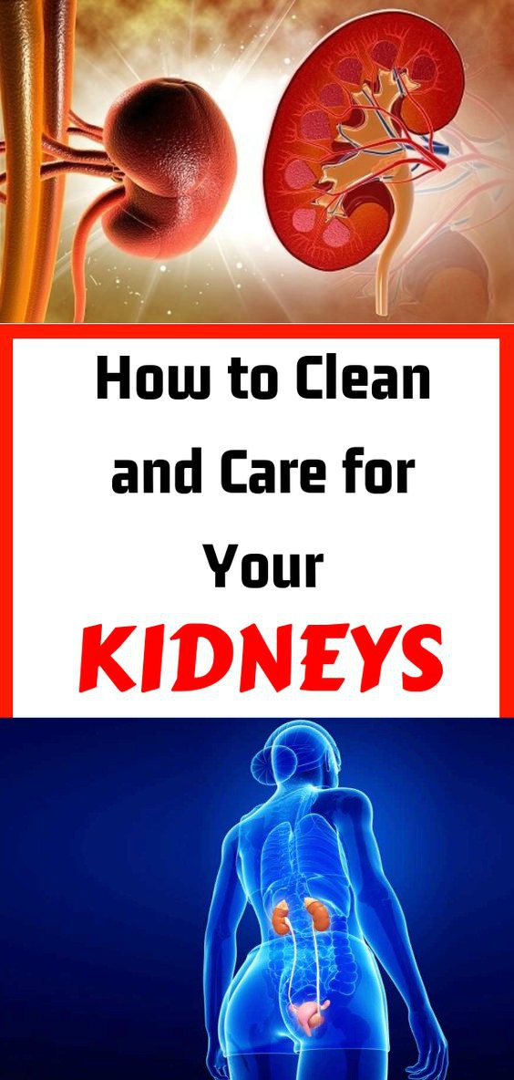 How to Clean and Care for Your Kidneys