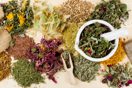 5 Herbs To Calm Anxiety (Without Being Drowsy)