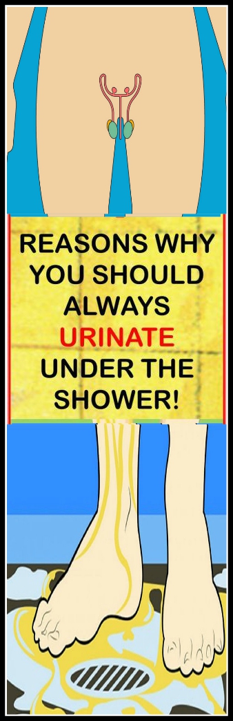 DOCTORS WILL NEVER SAY ABOUT THIS 4 REASONS WHY YOU SHOULD ALWAYS URINATE UNDER THE SHOWER DOCTORS WILL NEVER SAY ABOUT THIS 4 REASONS WHY YOU SHOULD ALWAYS URINATE UNDER THE SHOWER!