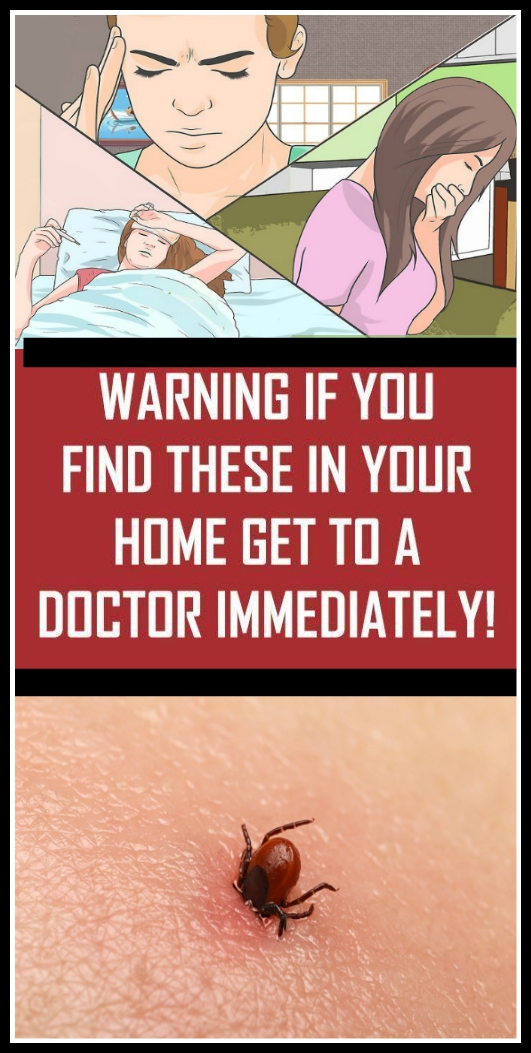 WARNING If You Find These In Your Home Get To a Doctor IMMEDIATELY!