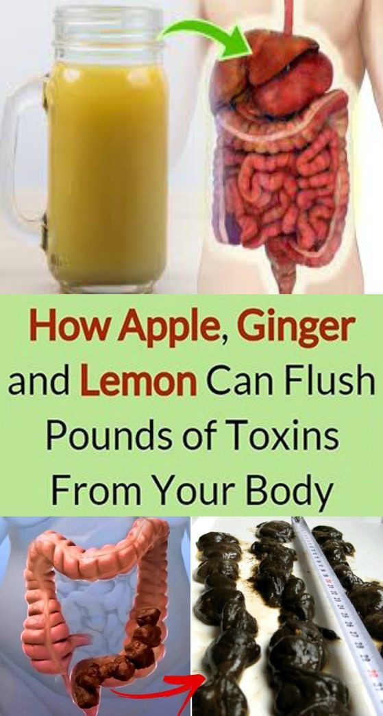 Lemon, Apple and Ginger Combination Which Flushes Pounds of Toxins