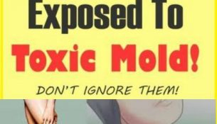 10 Signs You Have Been Exposed To Toxic Mold!